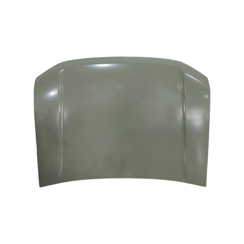HOOD COMPATIBLE WITH 2024- BYD FORMULA LEOPARD 5 