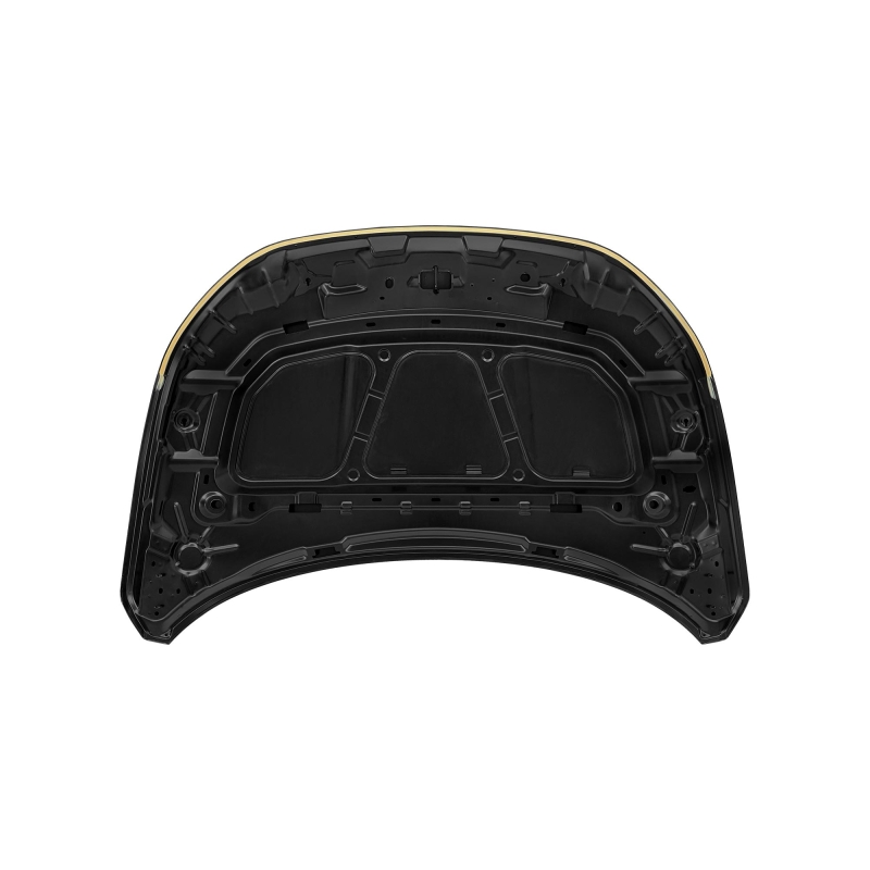 HOOD COMPATIBLE WITH 2016- FIAT ARGO