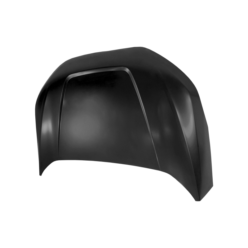 HOOD COMPATIBLE WITH 2020- FORD EDGE, AL