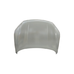 HOOD COMPATIBLE WITH BYD SONG PLUS EV