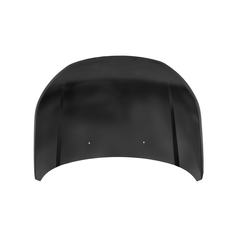 For FORD TERRITORY 2019- HOOD