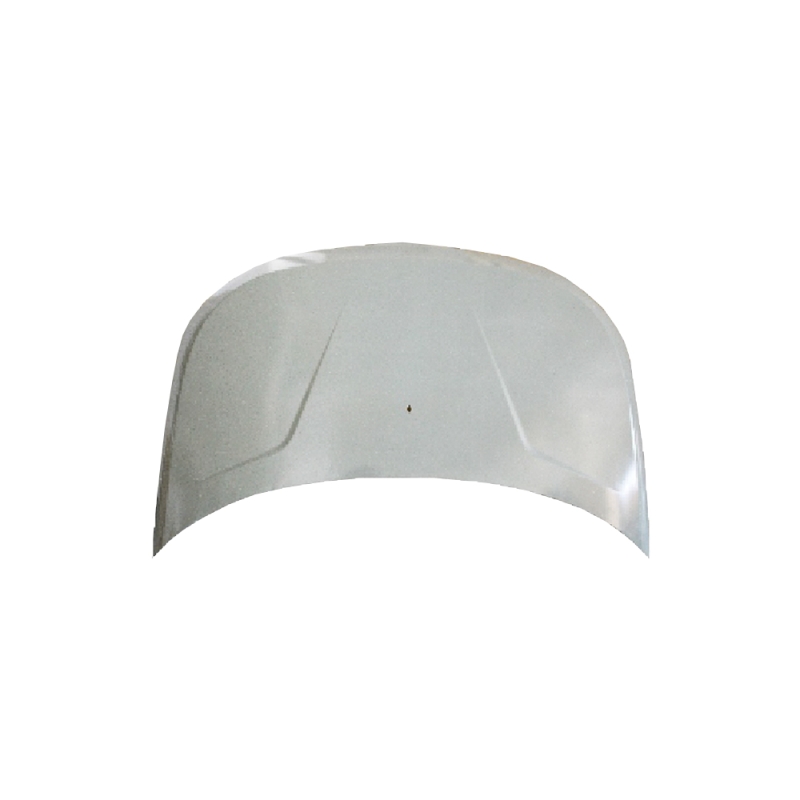HOOD COMPATIBLE WITH CHERY S21NA