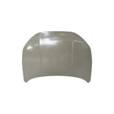 HOOD COMPATIBLE WITH LYNK-CO 06