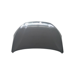 HOOD COMPATIBLE WITH 2023- BYD M6