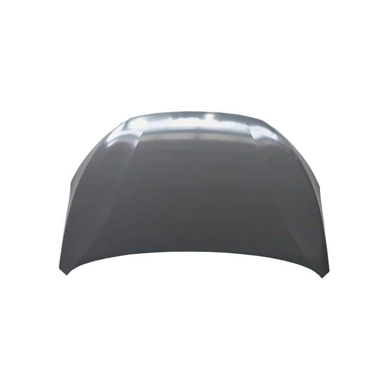 HOOD COMPATIBLE WITH 2023- BYD M6