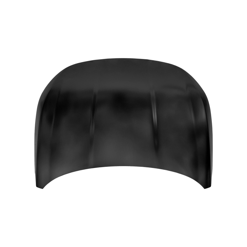 HOOD COMPATIBLE WITH 2016- FIAT ARGO