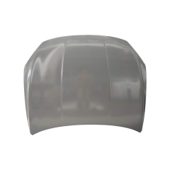 HOOD COMPATIBLE WITH 2023- BYD KING/CHAZOR DESTROYER 05