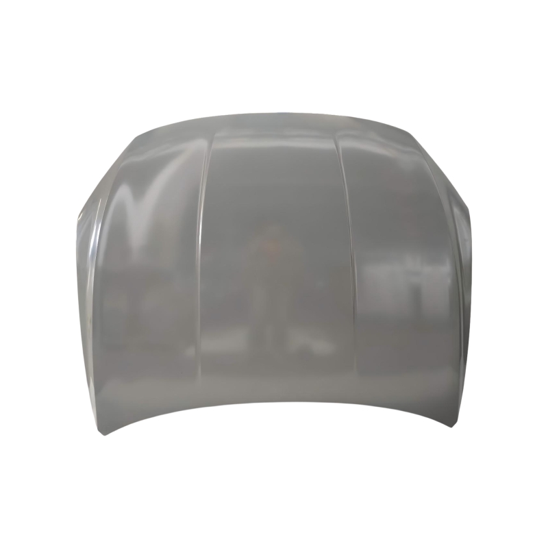 HOOD COMPATIBLE WITH 2023- BYD KING/CHAZOR DESTROYER 05