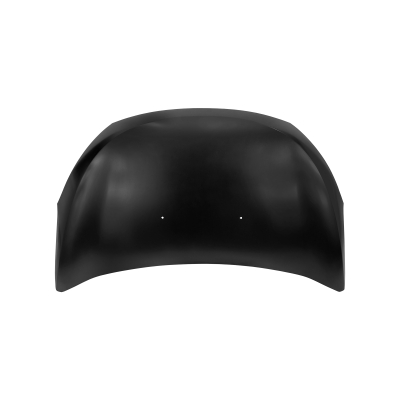 HOOD COMPATIBLE WITH RENAULT LODGY