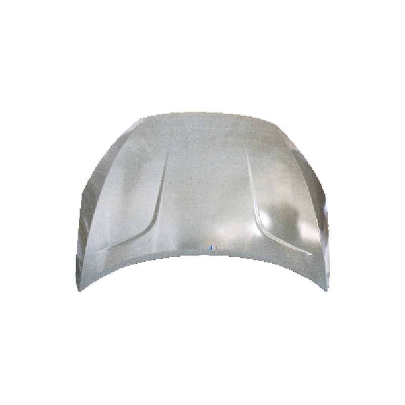 HOOD COMPATIBLE WITH 2016-2020 CHERY TIGGO 3X